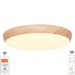   LED mennyezeti lámpa OPÁL + távvezérlő + Wifi 48W - LC942W